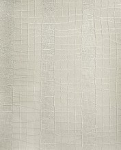 VS-10586-1-TANPP Orth9
